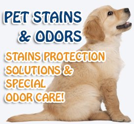 Pet Stains And Odors Removal